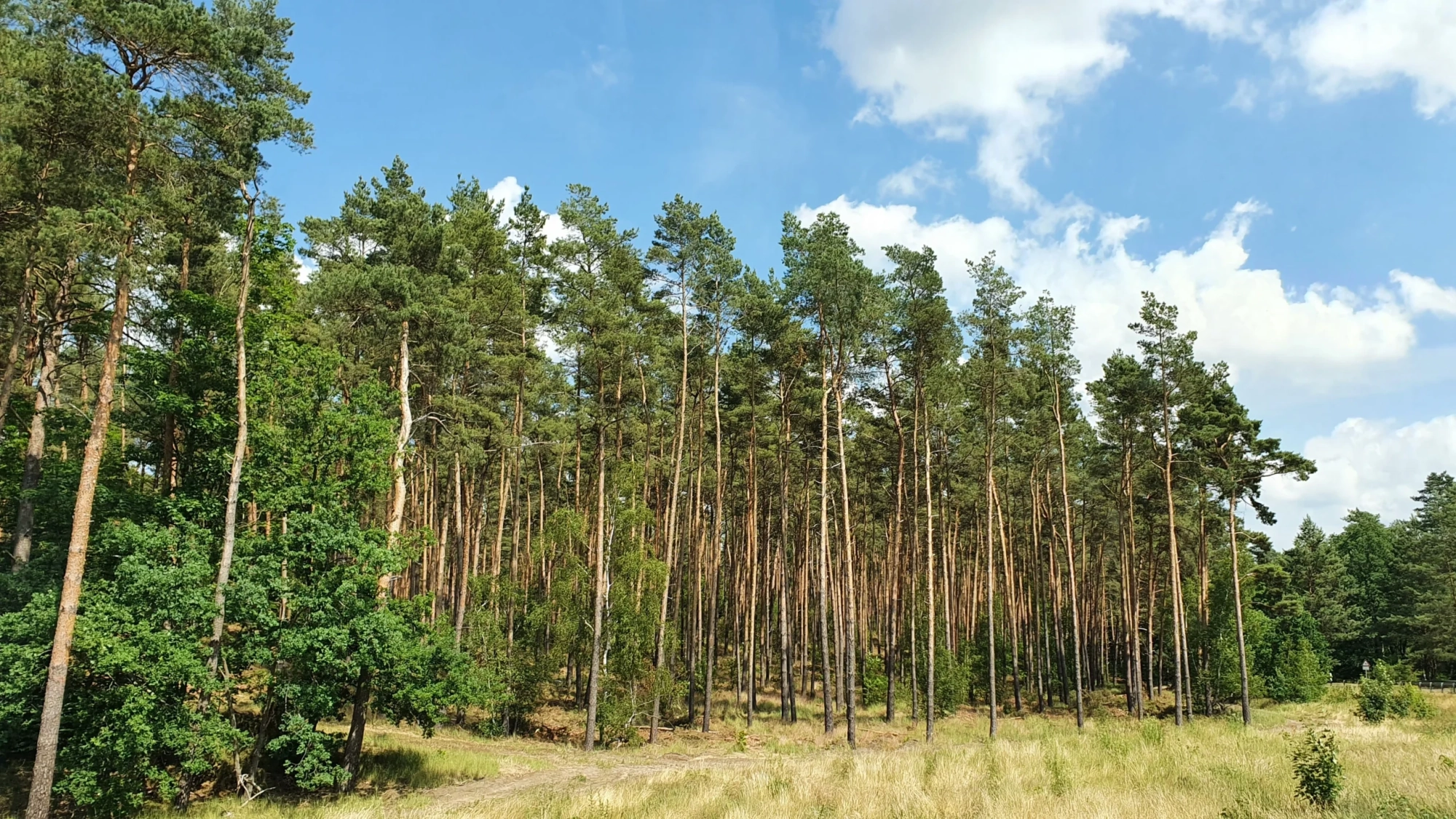 58e42e_30145729a62e495cb68a9ed2ccea70da~mv2